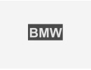 BMW Grilles